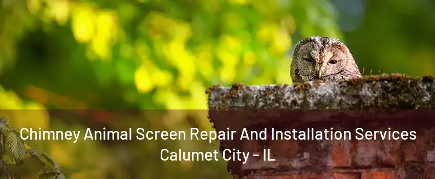 Chimney Animal Screen Repair And Installation Services Calumet City - IL