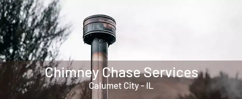 Chimney Chase Services Calumet City - IL