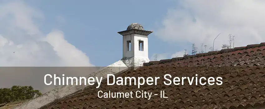 Chimney Damper Services Calumet City - IL