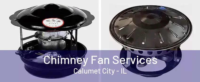 Chimney Fan Services Calumet City - IL