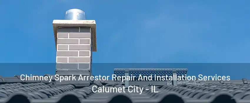 Chimney Spark Arrestor Repair And Installation Services Calumet City - IL