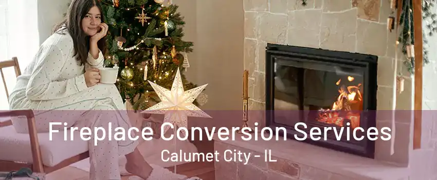 Fireplace Conversion Services Calumet City - IL