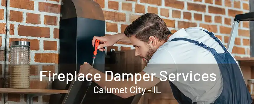 Fireplace Damper Services Calumet City - IL