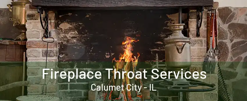 Fireplace Throat Services Calumet City - IL