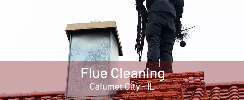 Flue Cleaning Calumet City - IL