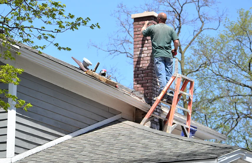 Chimney & Fireplace Inspections Services in Calumet City, IL