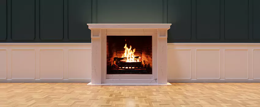 Napoleon Electric Fireplaces Inspection Service in Calumet City, Illinois