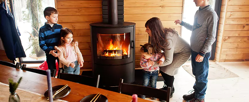 Jøtul Gas Fireplace Inspection Service in Calumet City, Illinois